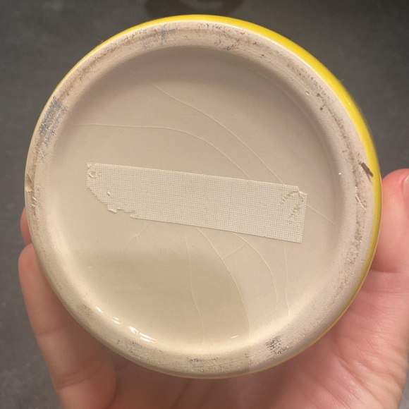 Faux Cactus Planter - Picture 4 of 5